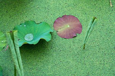 知名舅舅爆料《GTA6》不太可能在明年5月发售